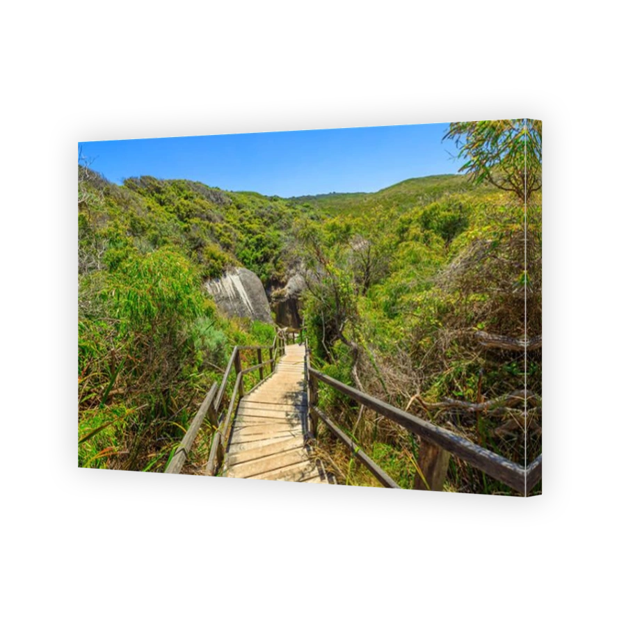 Wooden staircase from Elephant Rocks to Elephant Cove Beach in William Bay National Park near Denmark, Western Australia. The popular Elephant Rocks Walk from Greens Pool.