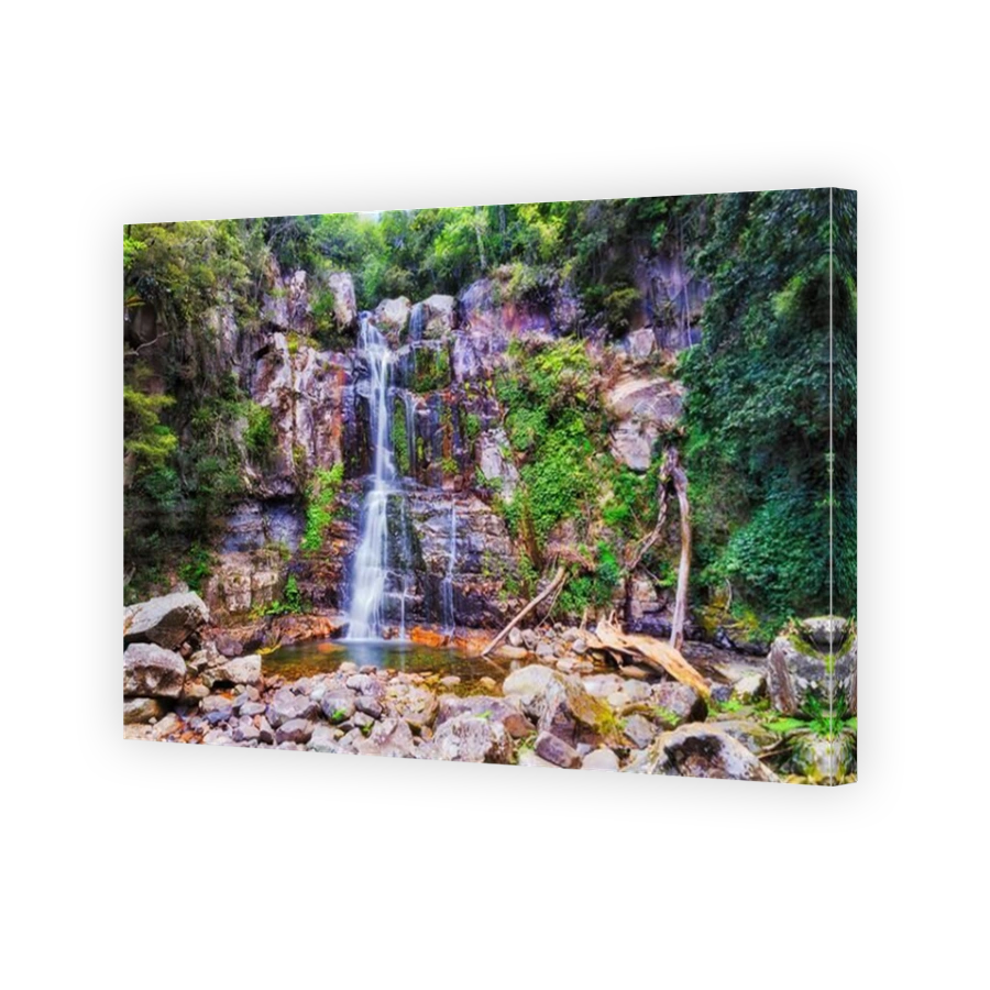 Scenic Minnamurra falls in national park rainforest flowing down to rocks in evergreeen jungles.