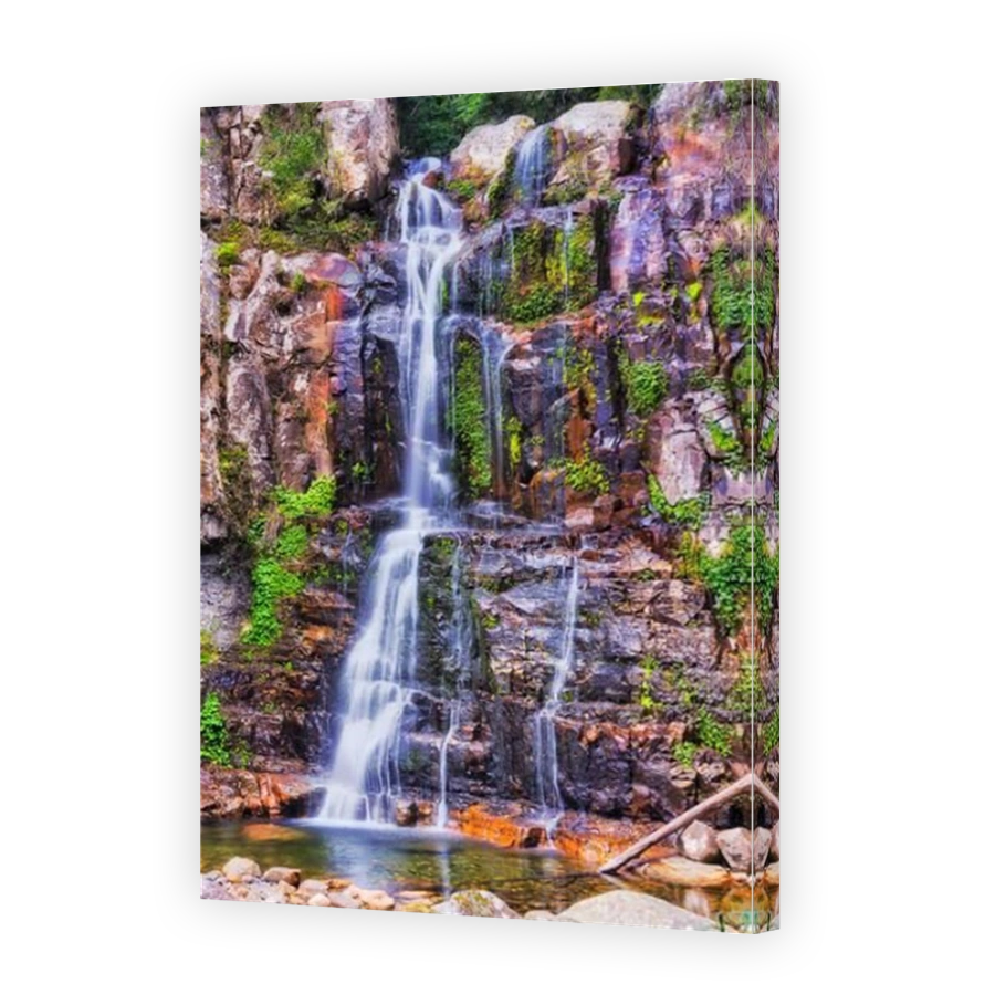 Vertical Minnamurra waterfall in MInnamurra national park rainforest on eroded rocks surrounded by evergreeen vegetation and plants.