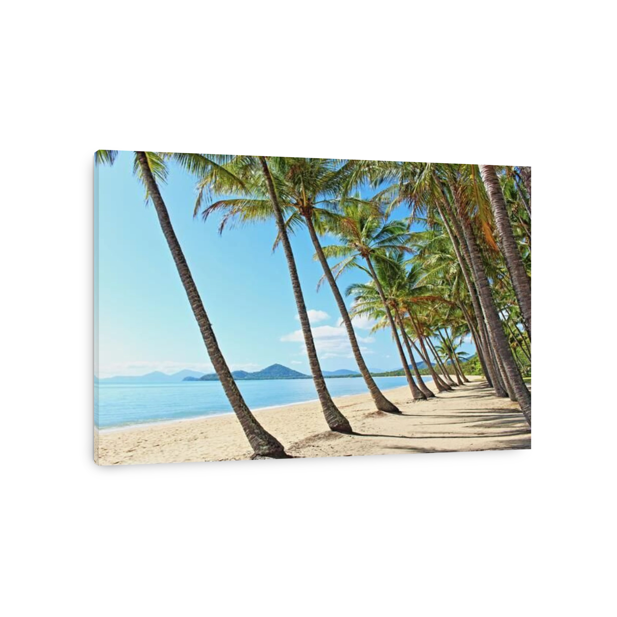 Palm Cove beach with feet in the sand at the palm tree grove on an absolutely spot on October morning to be in Cairns Queensland Australia