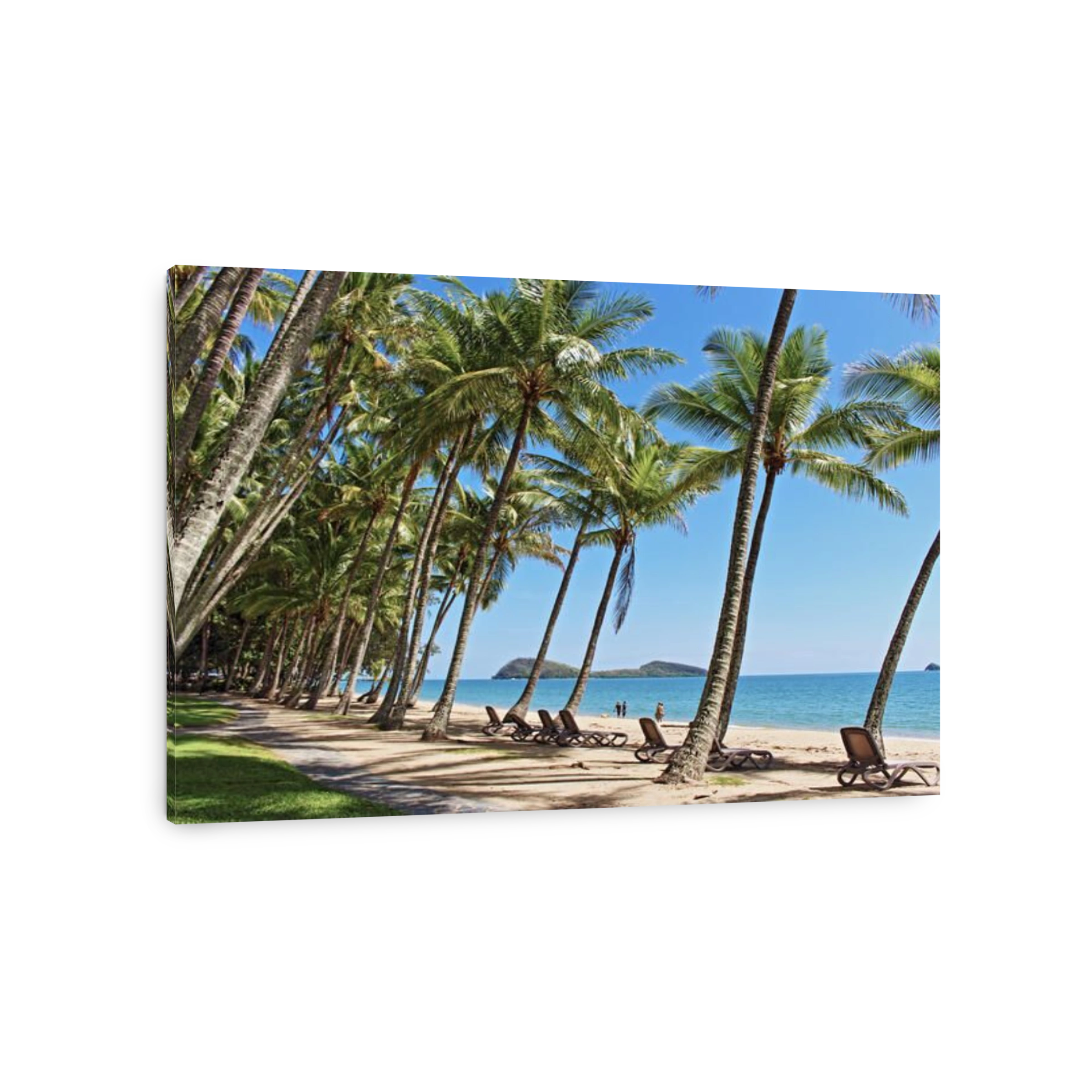 The most beautiful palm tree lined, sandy, unspoiled and uncrowded beach in Cairns... enjoy Palm Cove Beach in Far North Queensland Australia