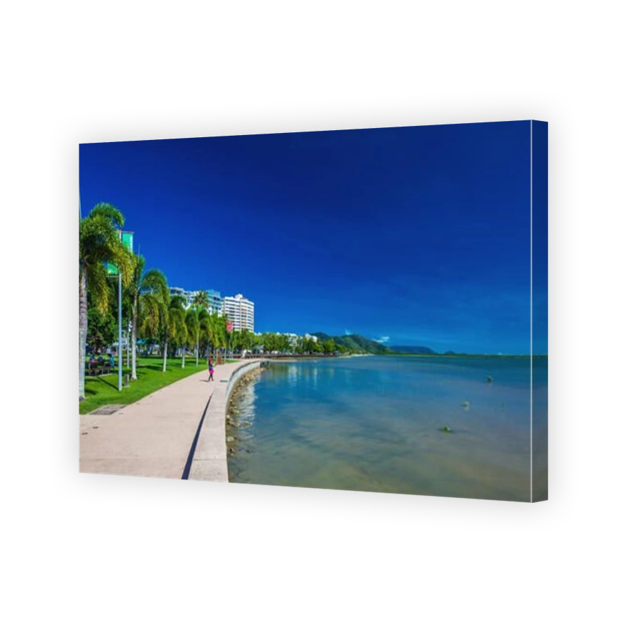 CAIRNS, AUSTRALIA - 27 MARCH 2016. The Esplanade in Cairns with palm trees and the ocean, north Queensland, Australia.