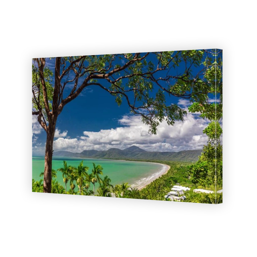 Port Douglas Four Mile Beach and ocean on sunny day, Queensland, Australia
