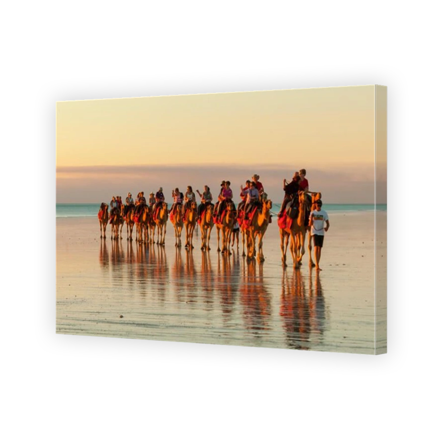 Camel Walk on Cable Beach at Sunset, Broome, WA