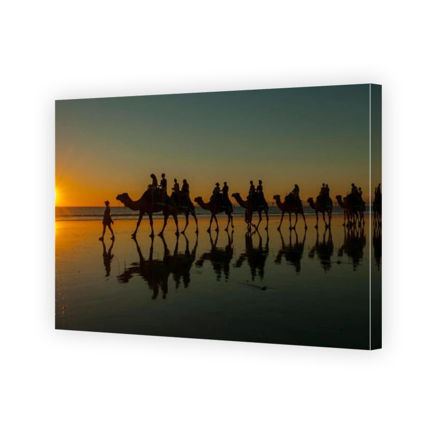 Camel Walk on Cable Beach at Sunset, Broome, WA