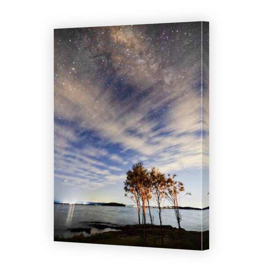 Lonely pine trees on shores of Lake Macquarie under starry cloudy night sky with bright Mikly way stars.