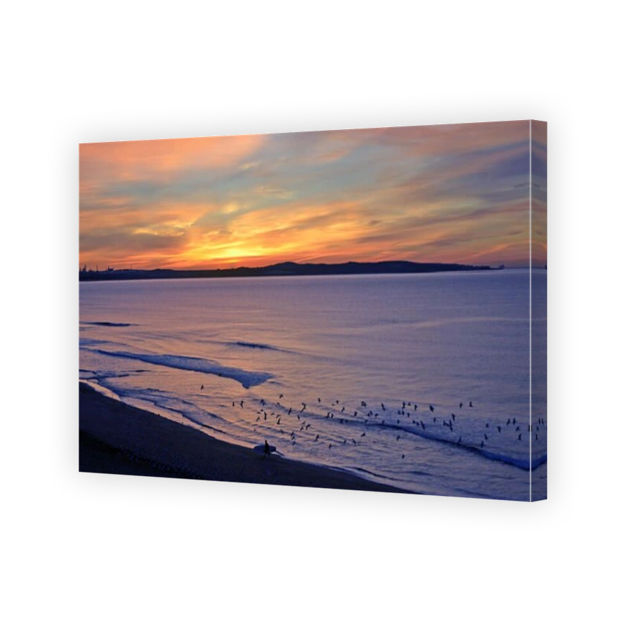 Surfer and flock of birds on Cronulla beach at sunrise, NSW, Australia