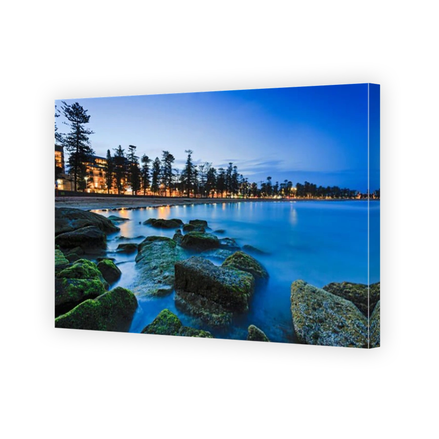 Green water plants covered boulders at Sydney northern beaches Manly beach at sunset.Popular tourist destination with bright illumination of cafes