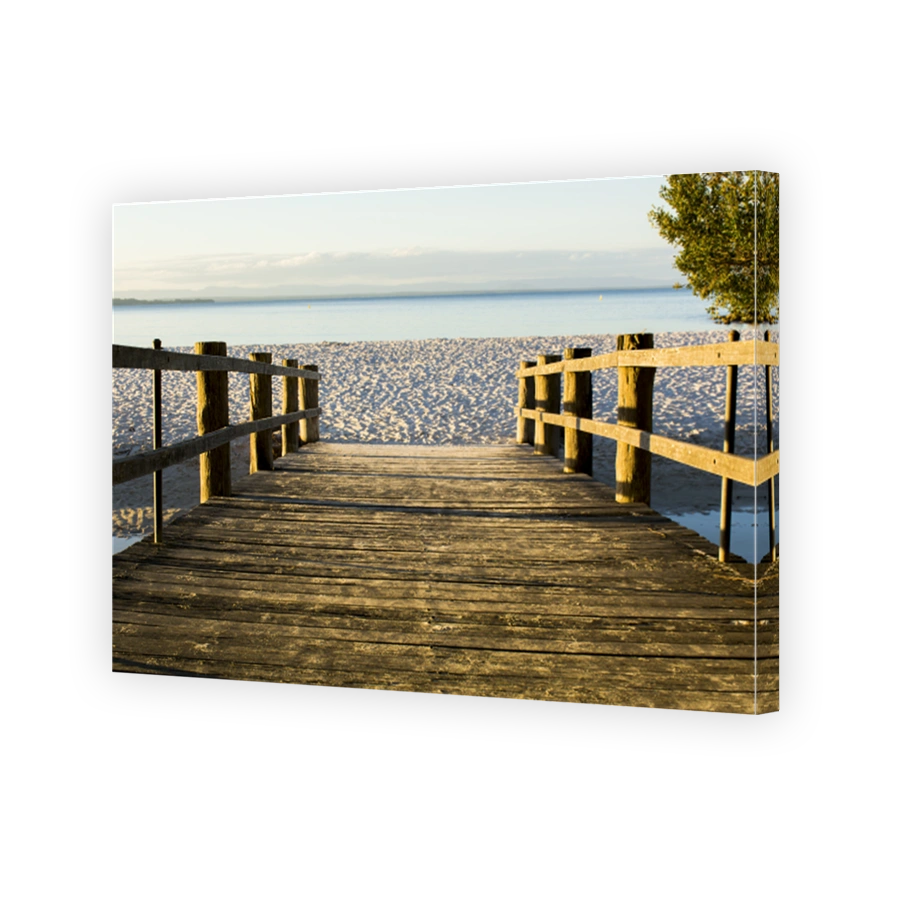 Trail to the ocean