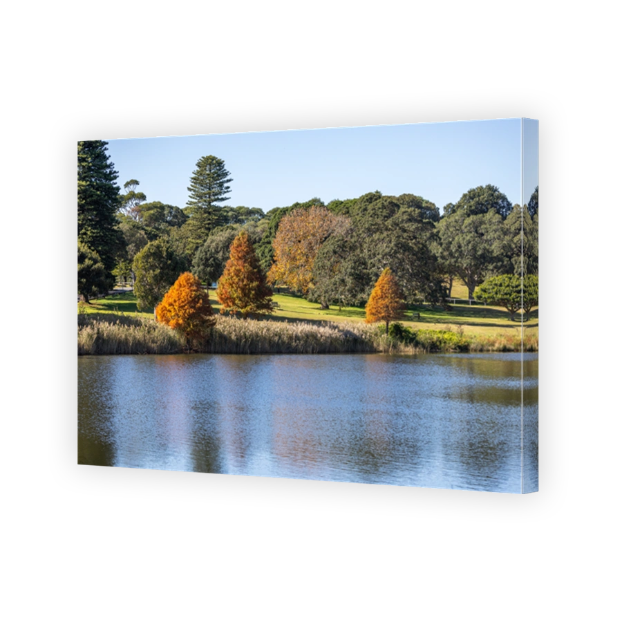 Autumn landscape across the pond