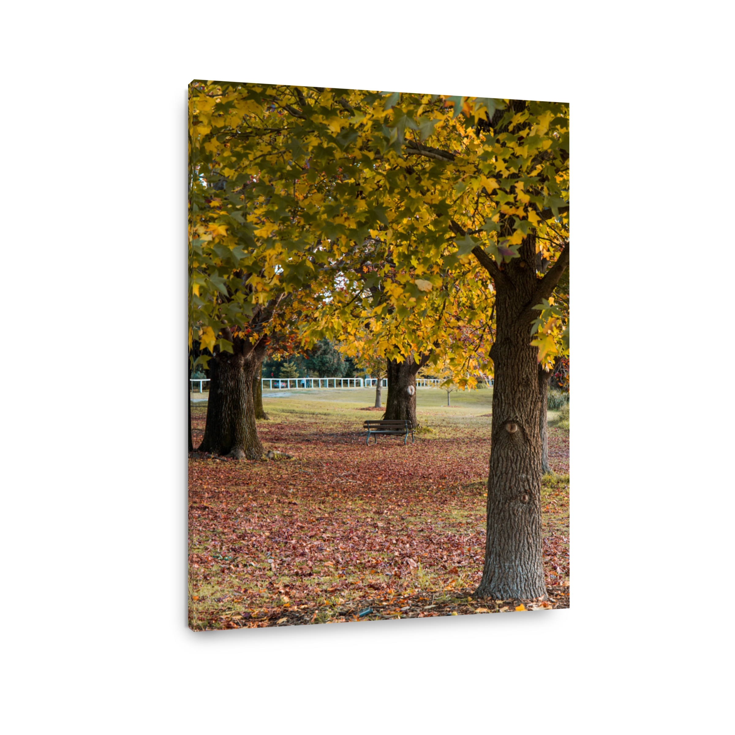 Yellow Autumn