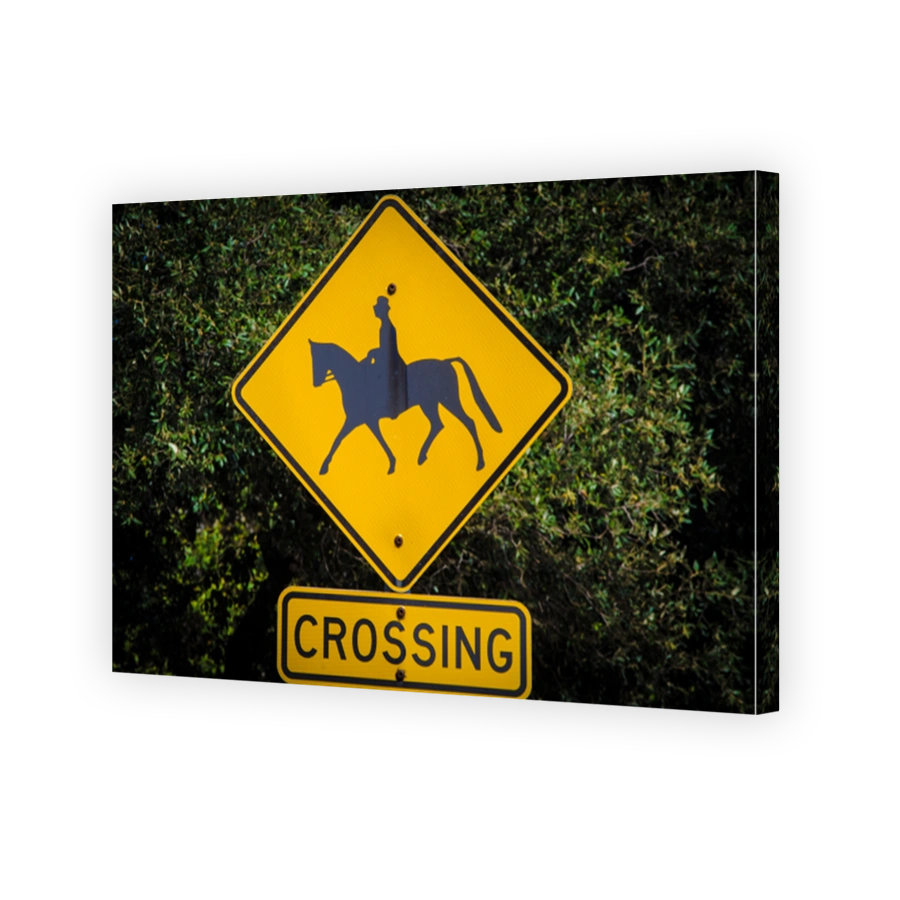 Square yellow Horse crossing sign.