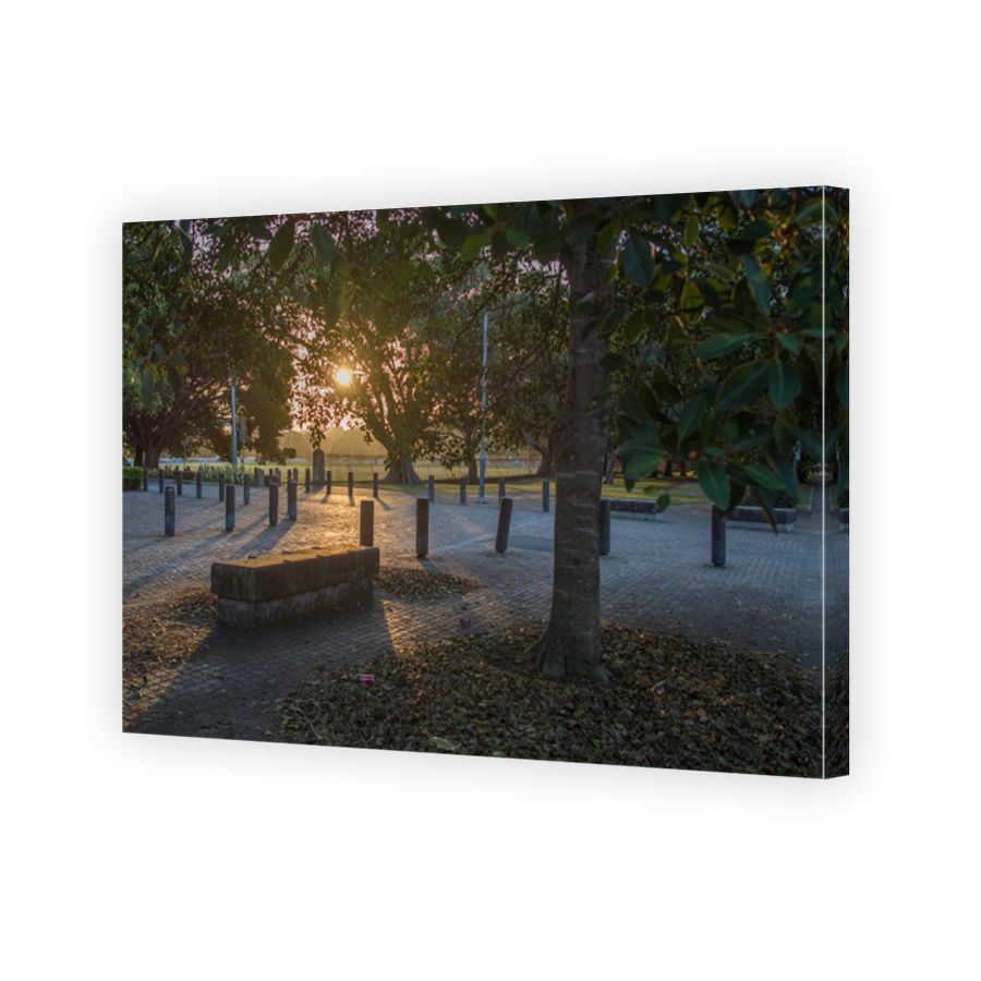 Sydney park at sunset
