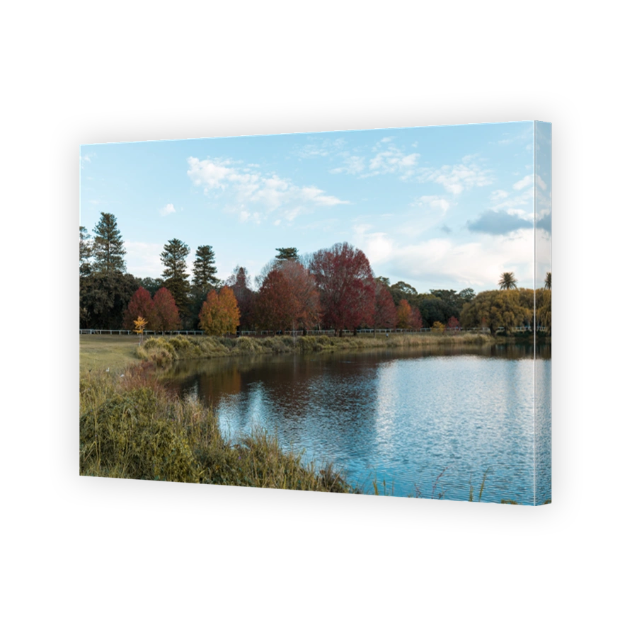 Autumn by the lake