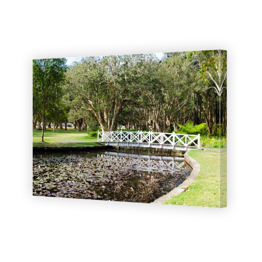 White walkway bridge over the lotus pond with forest at the background.