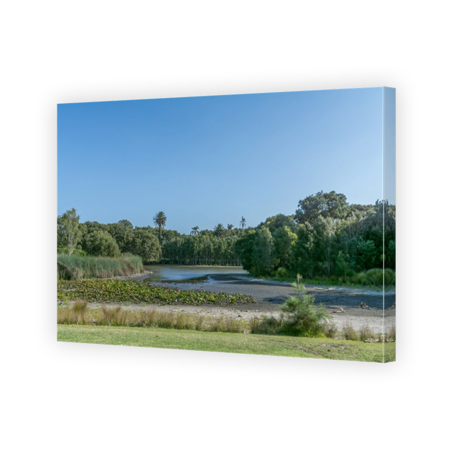 Public park Centennial Park, Sydney, Australia