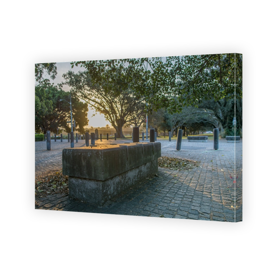 Sydney park at sunset