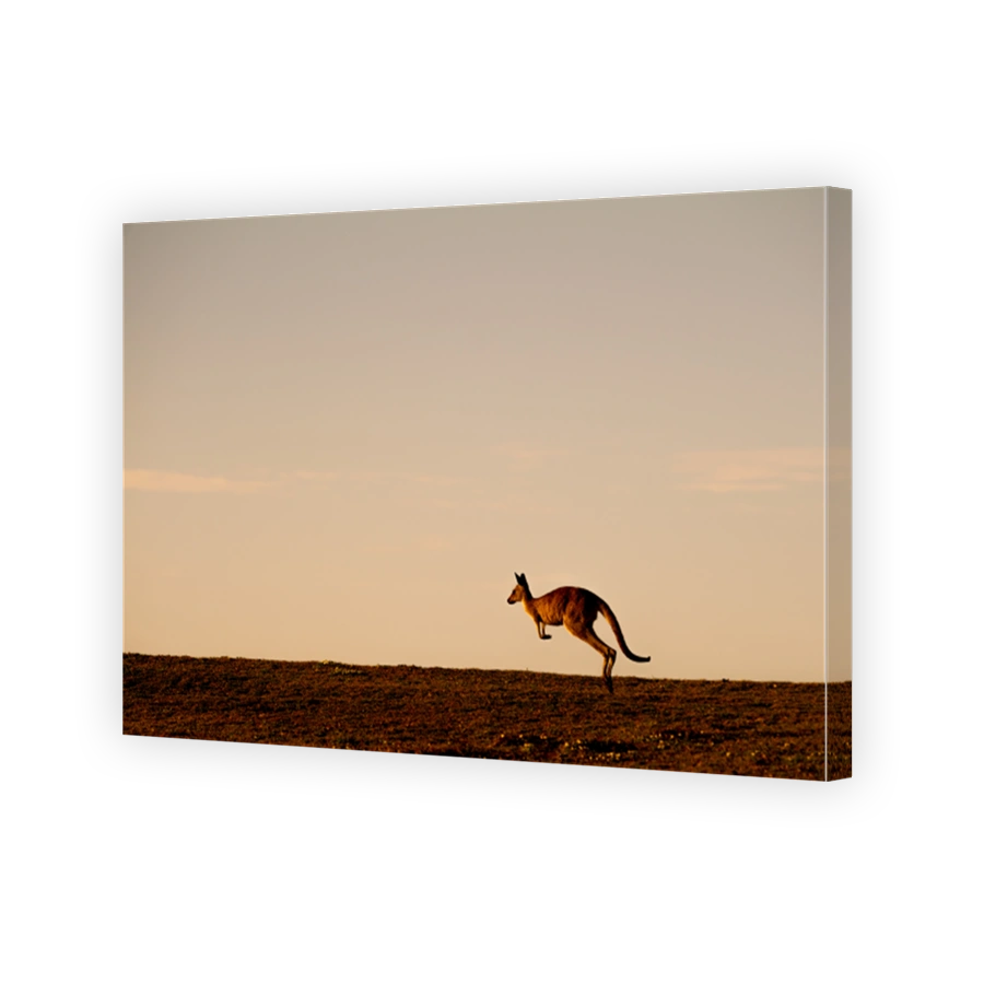 hopping, Look at Me Now Headland, Emerald Beach