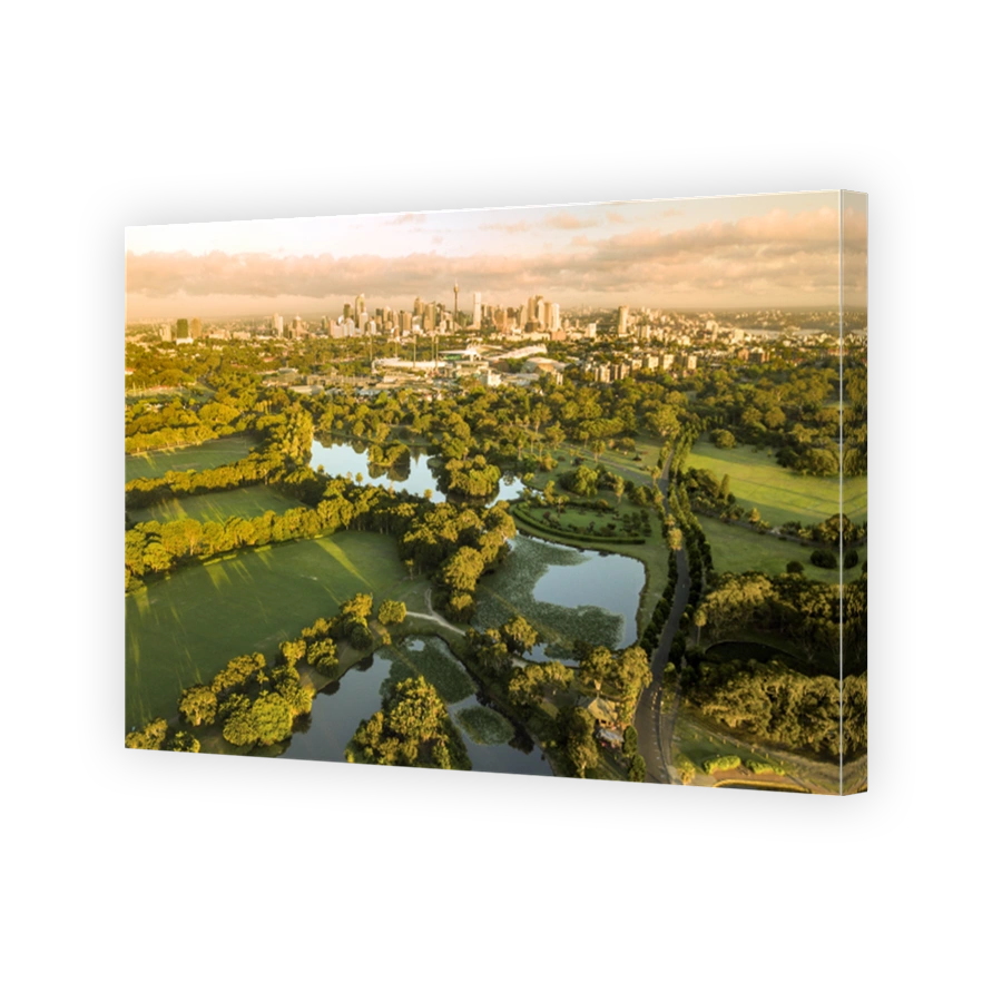 Aerial View Of A City