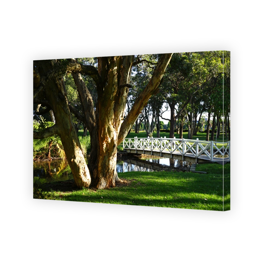 Lily Pond Bridge in Centennial Park, Sydney