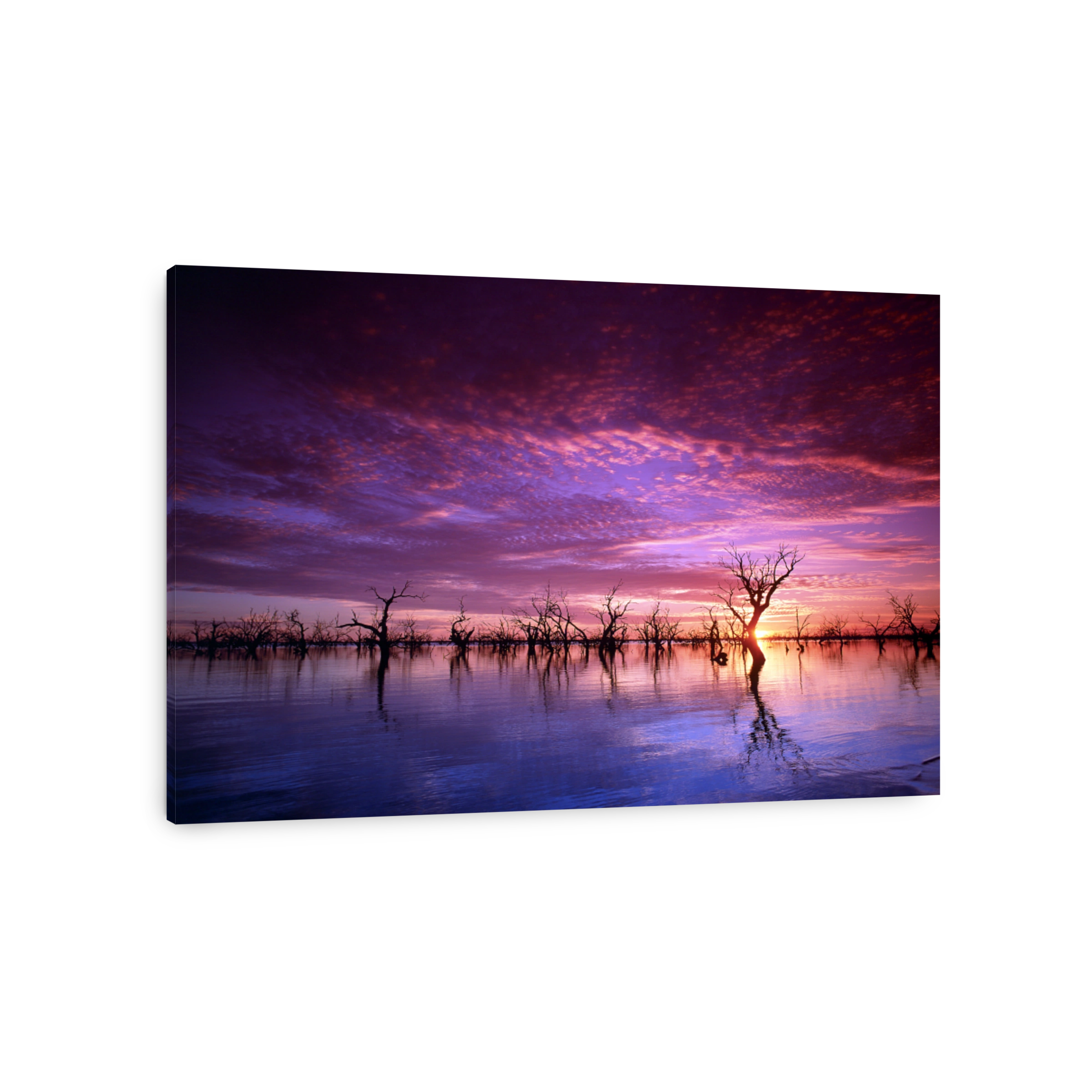 Menindee lakes