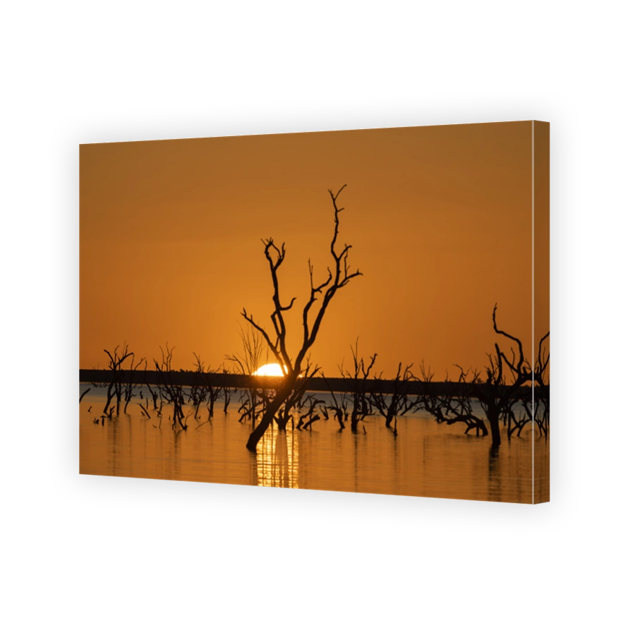 Flood waters from the Darling river.