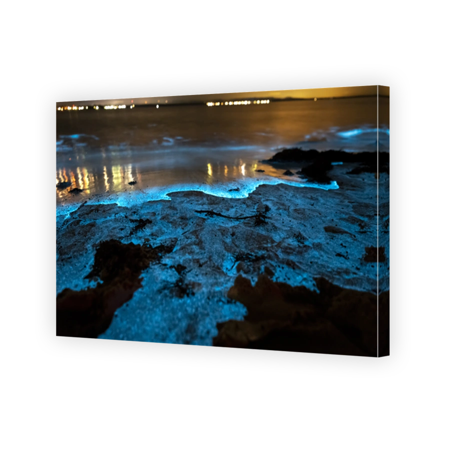 Bioluminescence