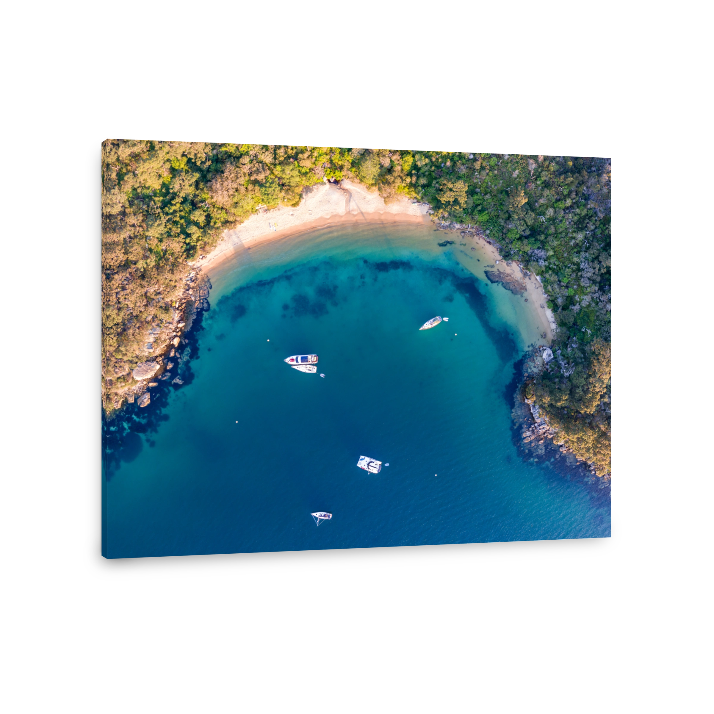 Aerial drone bird's eye view of sailboats and yachts anchored at Store Beach near Quarantine Station in Manly, the beachside suburb of Sydney, New South Wales, Australia, in the evening before sunset.