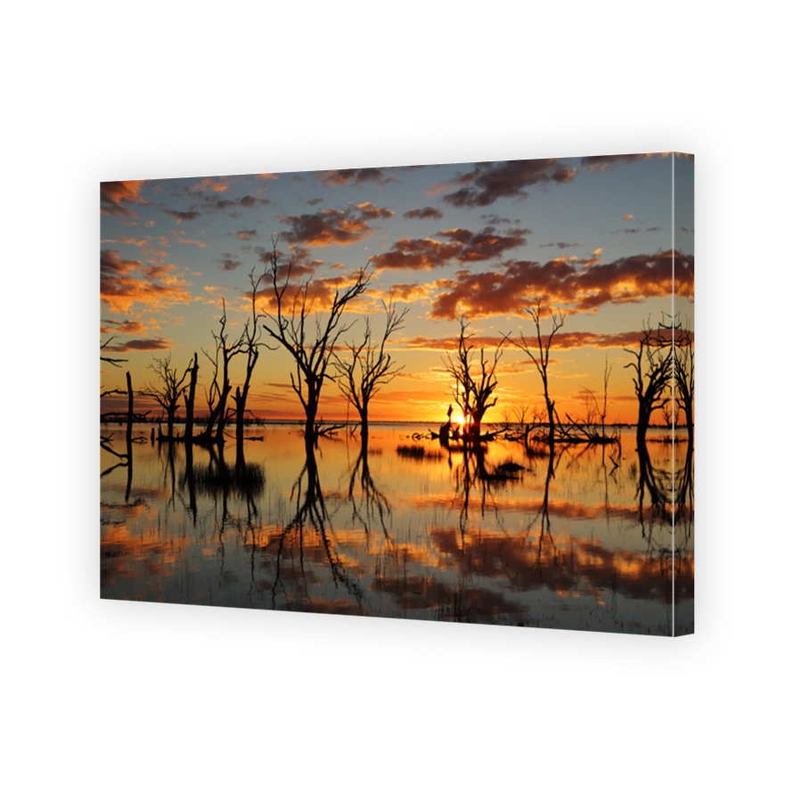 Vivid sunset dead trees in Lake Menindee