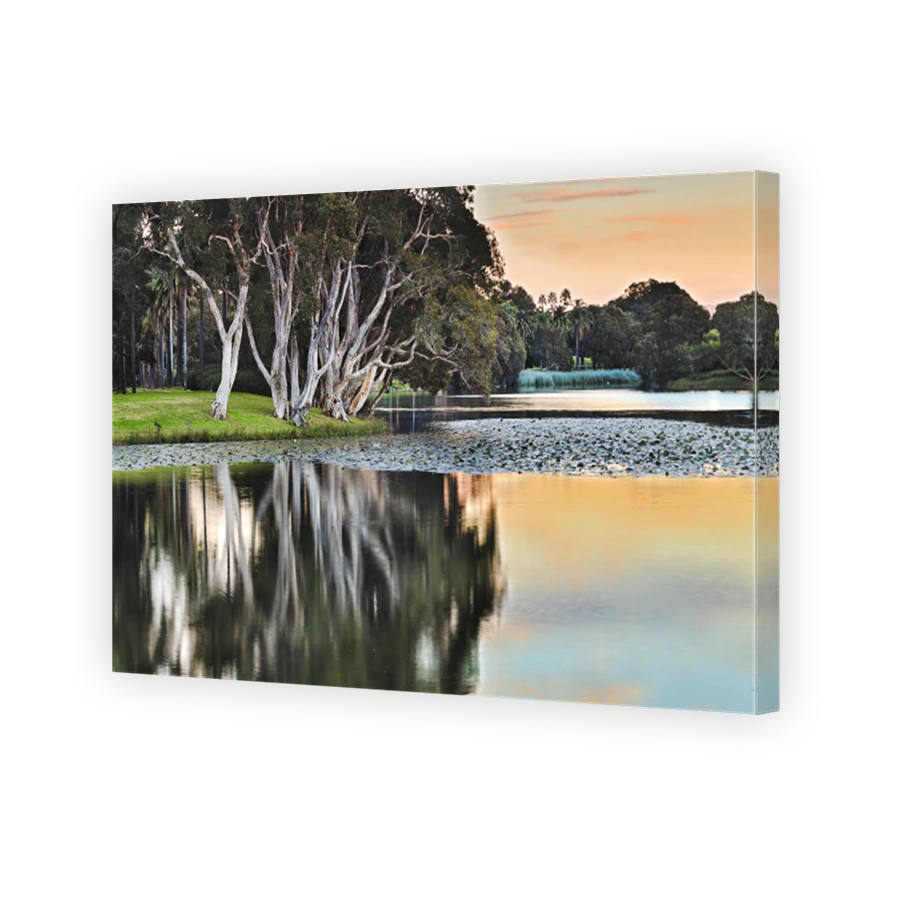 Park Centennial Pond Dark