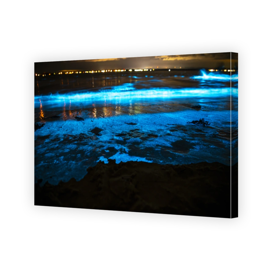 Bioluminescent Waves on Australian Shoreline