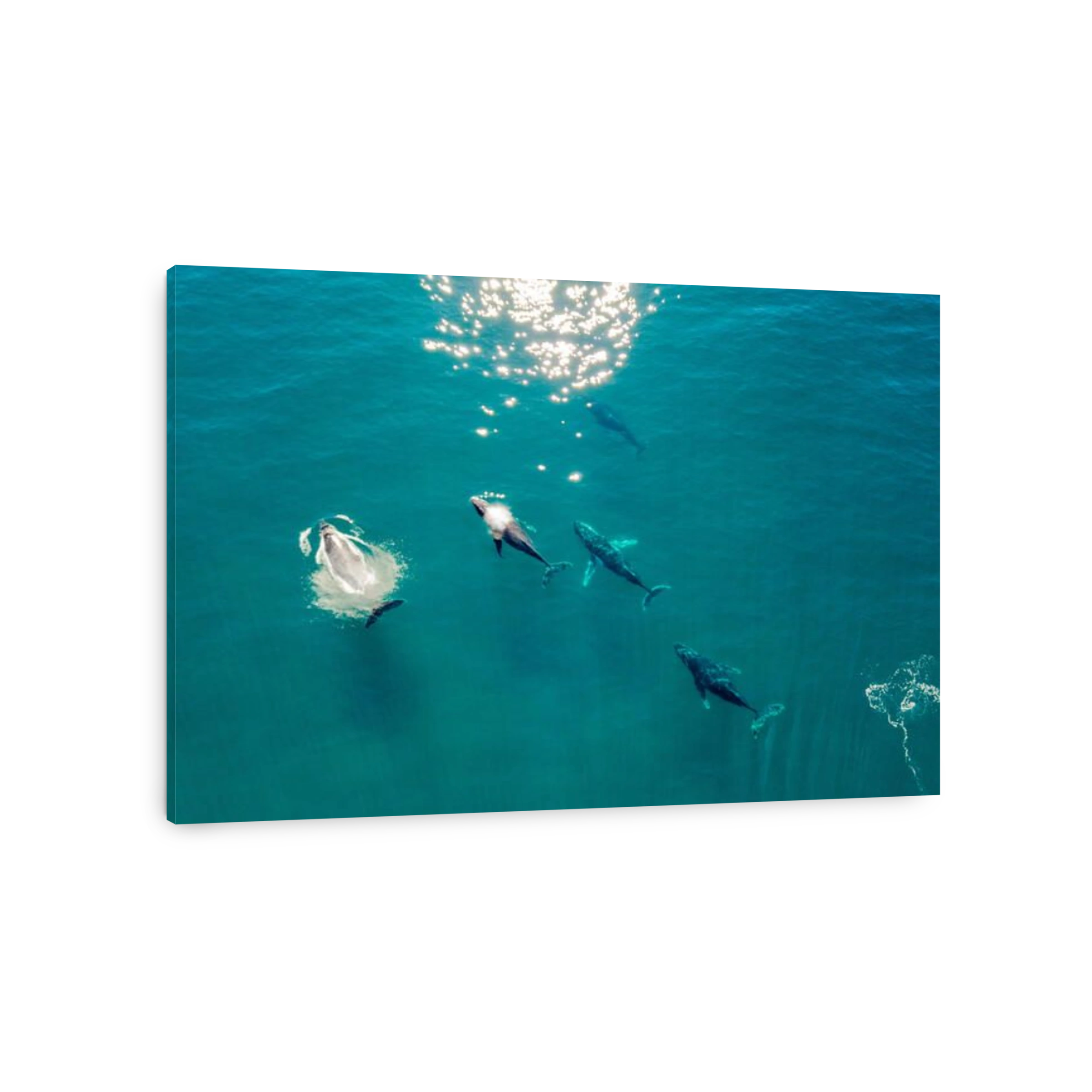 An aerial view of Byron Bay in New South Wales, Australia