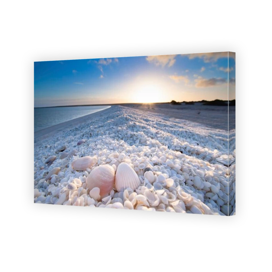 Summer holiday sunrise in Shell Beach, Monkey Mia, Shark bay Western Australia