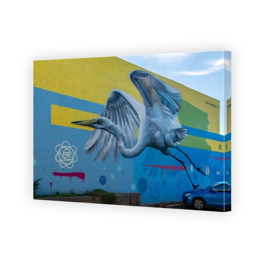 Graceful Ascent Street Art, Frankston, Victoria, Australia