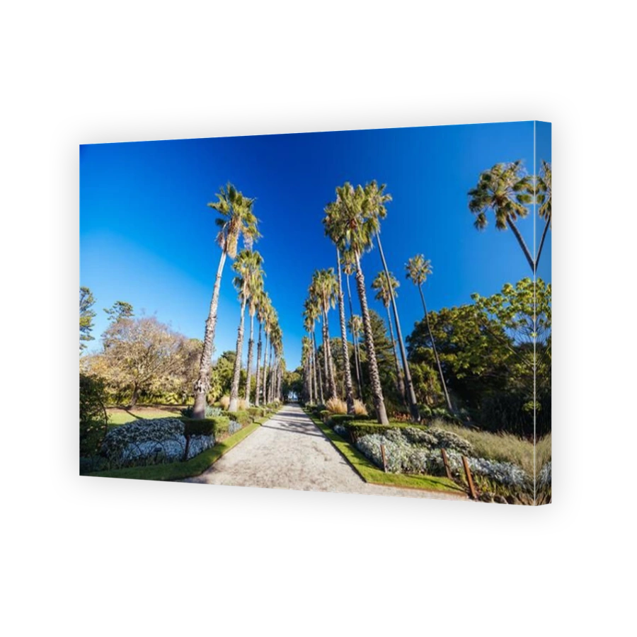 Williamstown Botanic Gardens in Melbourne Australia
