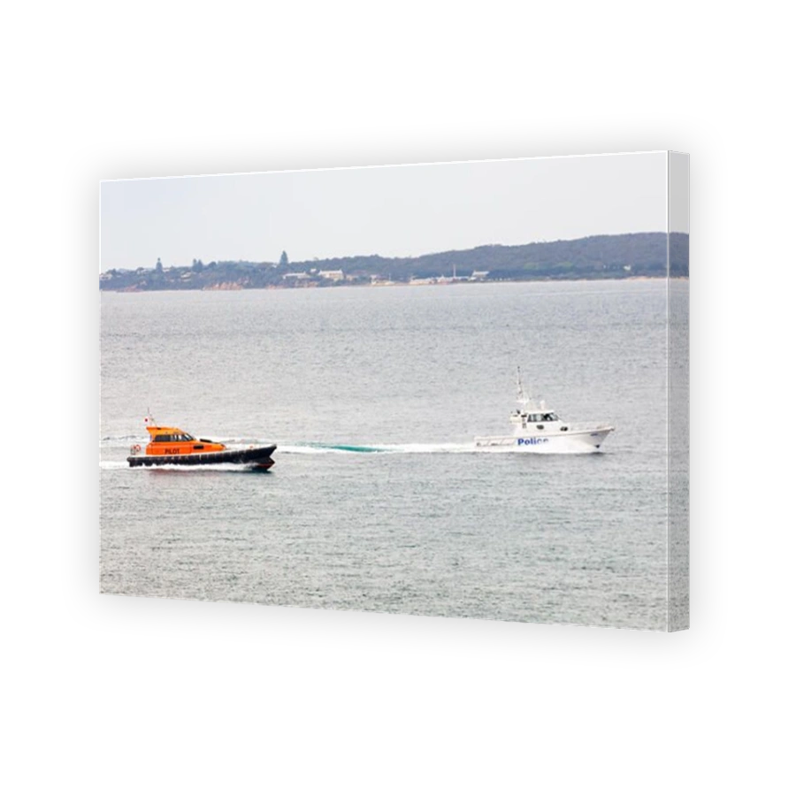Port Philip Pilot and Police Boats