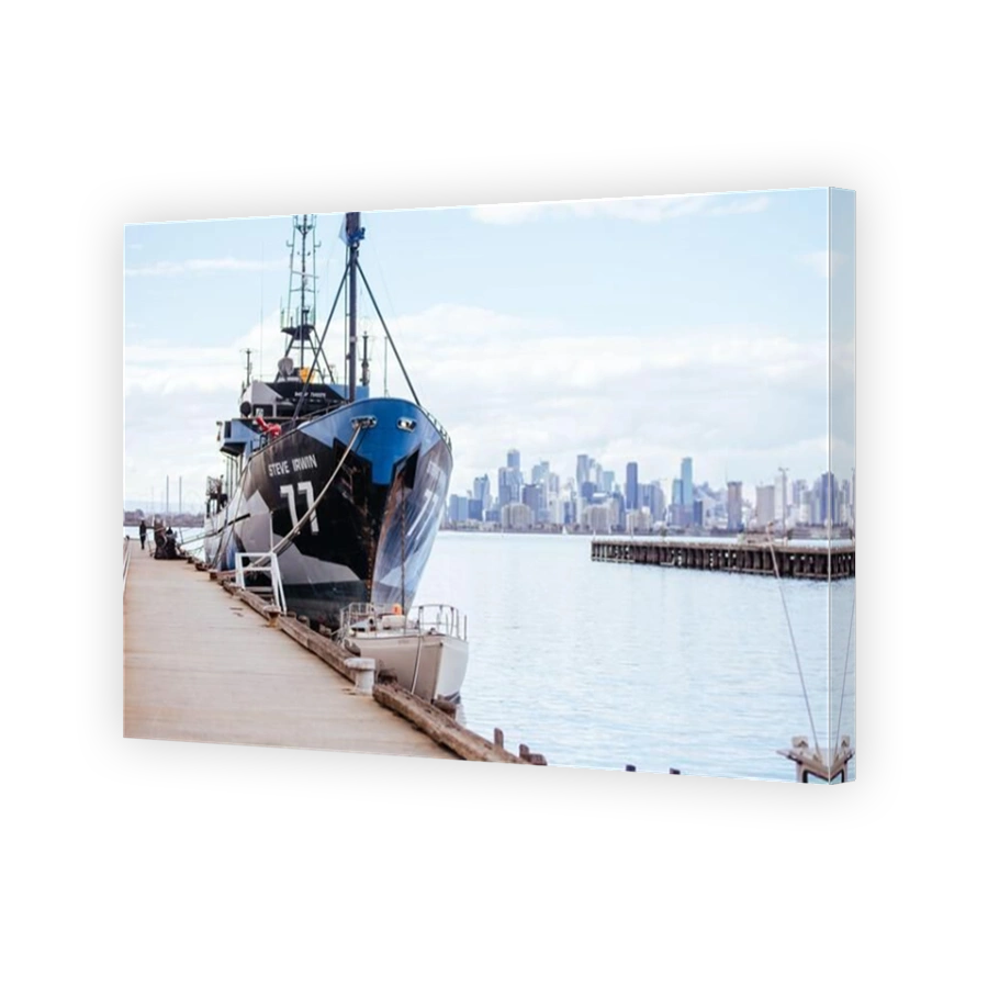 Sea Shepherd Fleet Docked in Melbourne