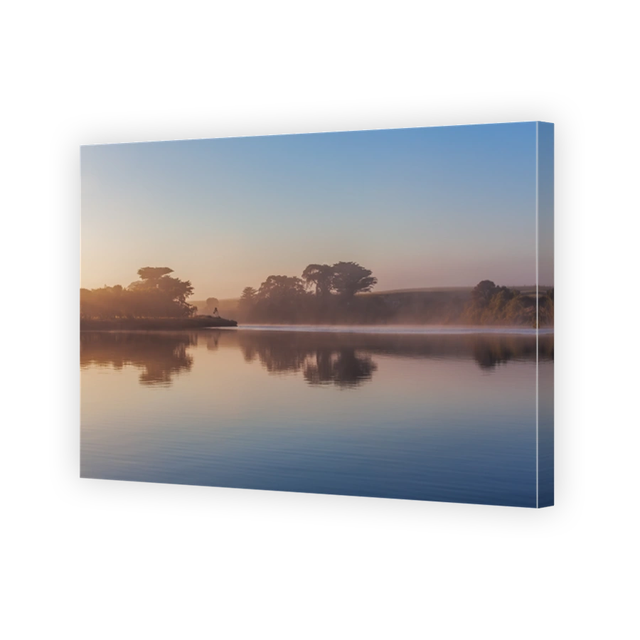 Trees silhouettes and early morning fog over river at sunrise with copy space