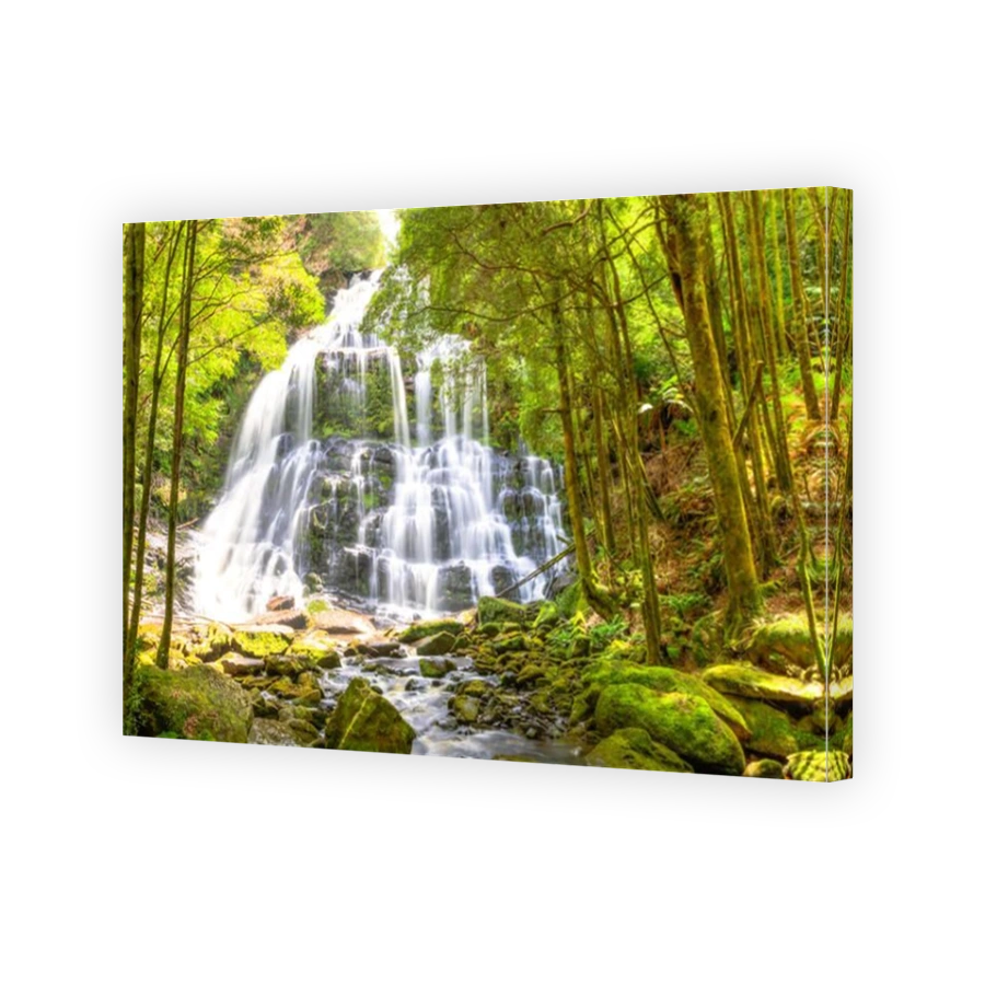 Nelson Falls Tasmania