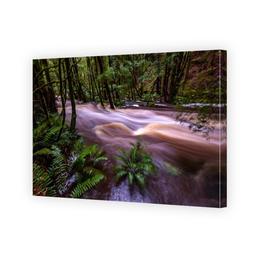 Flood at the river at Nelson Falls in Franklin-Gordon Wild Rivers National Park, Tasmania