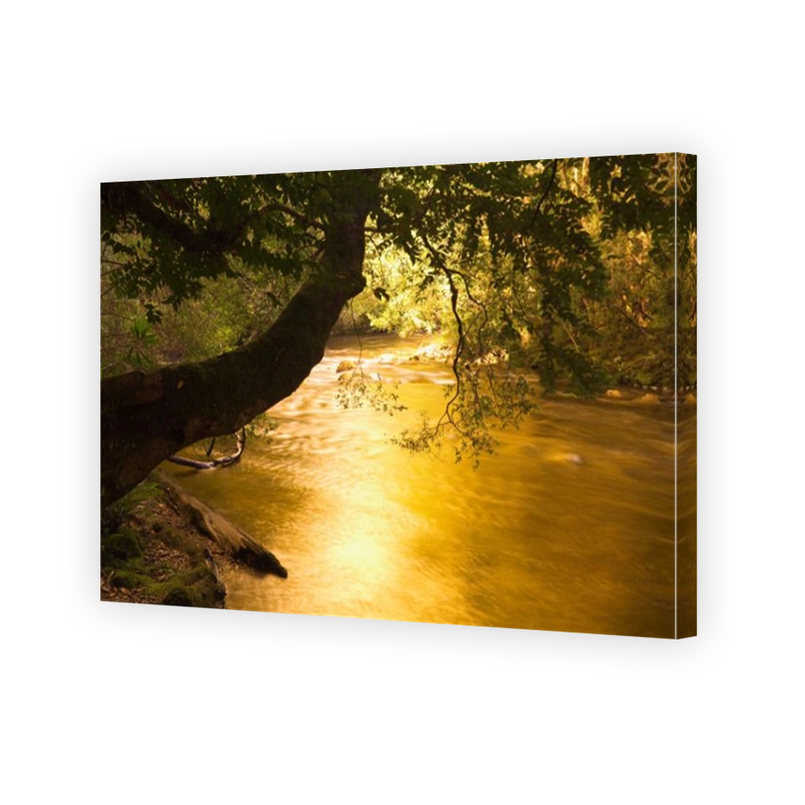 Franklin River, Franklin-Gordon Wild Rivers National Park, Tasmania, Australia, Pacific