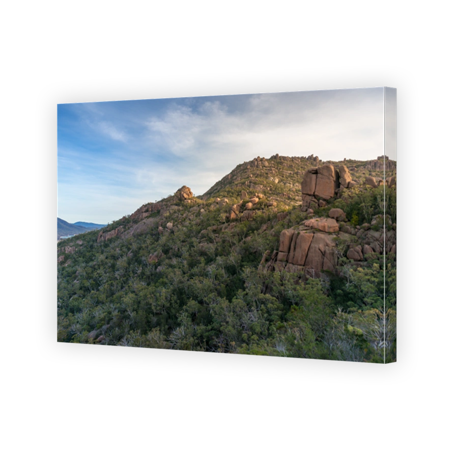 View up to giant boulders mountain and eucalyptus forest