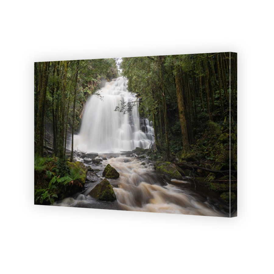 Long exposure shot of Nelson Falls, in Tasmania, Australia