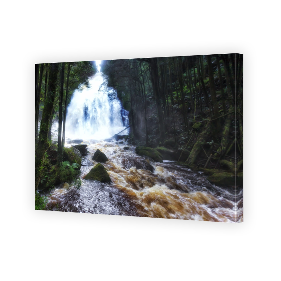 Tas Nelson WF Stream