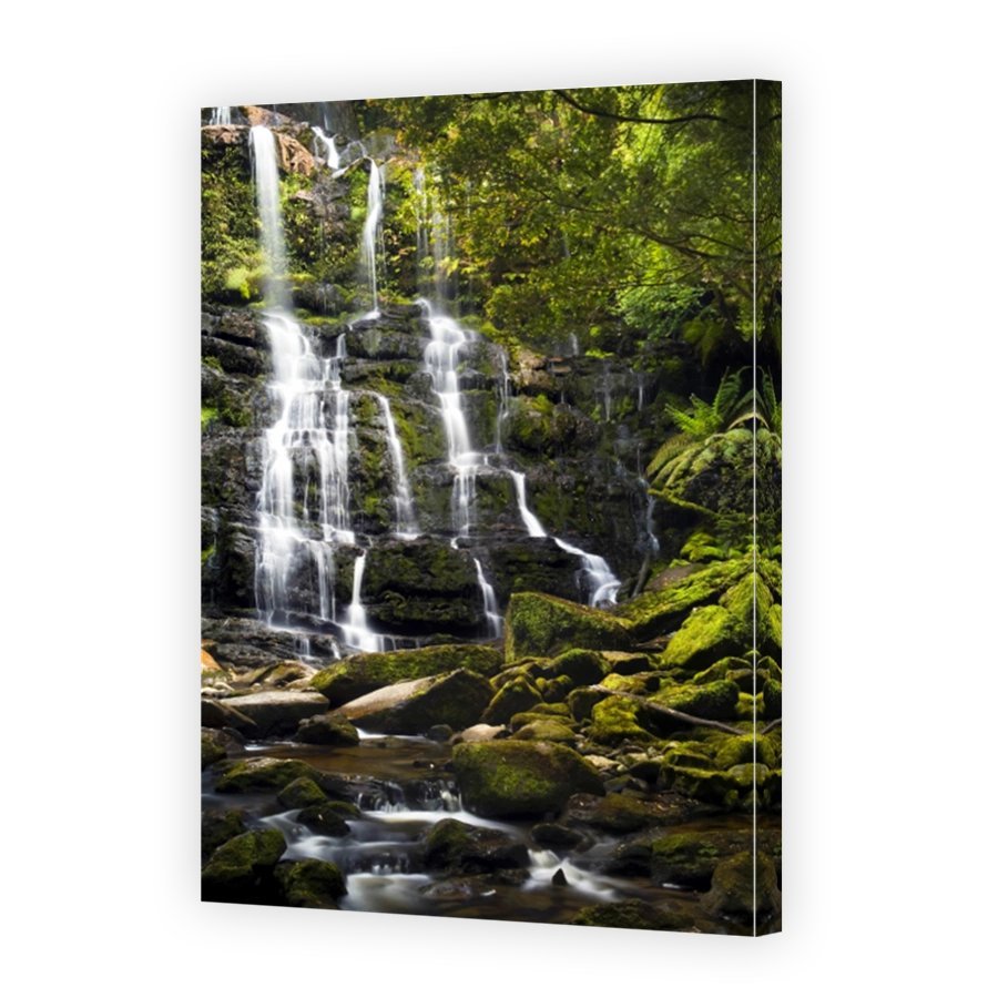 Nelson Falls, Tasmania