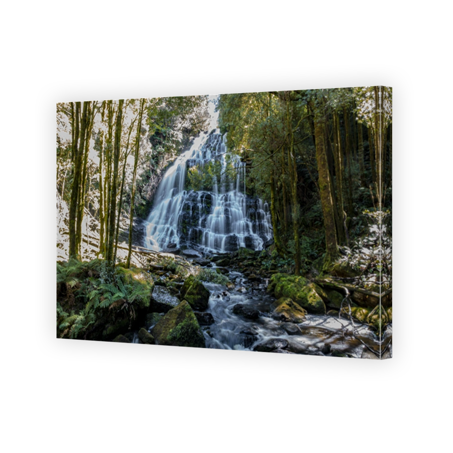 Scenic waterfall at Nelson Falls in Queenstown, Tasmania