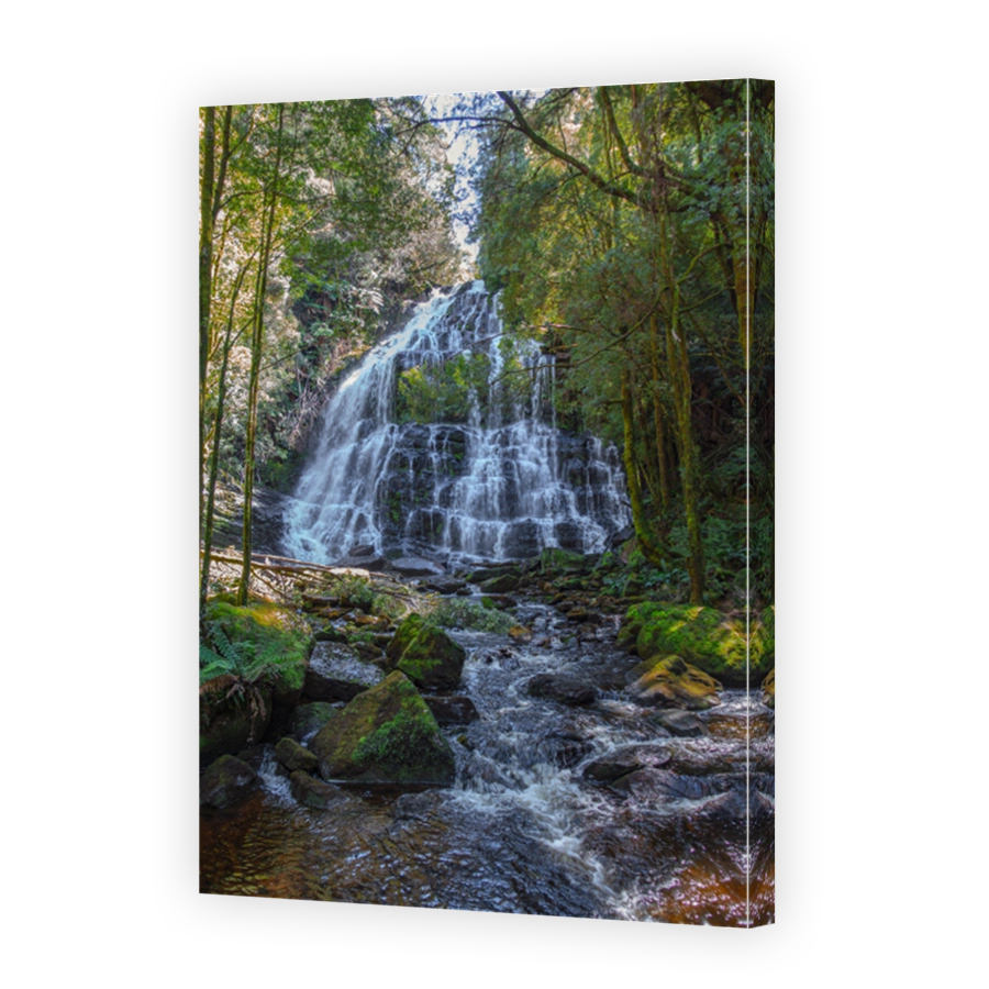 Afternoon light falling over Nelson Falls in Queenstown, Tasmania