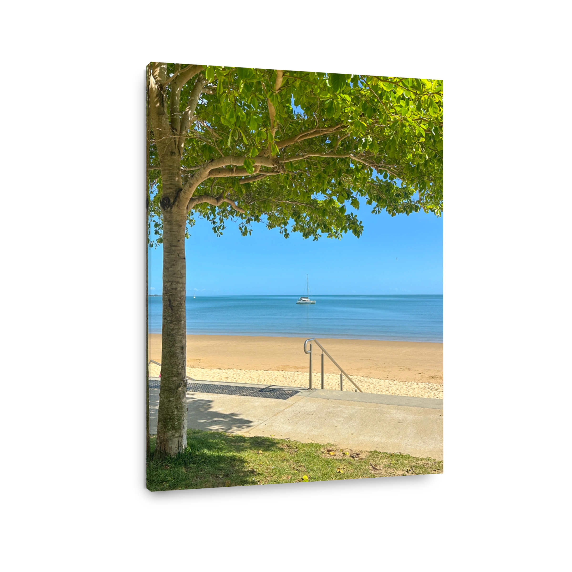 Looking out from under a nice health green tree, to the sandy beach.   Blue calm water and blue skies in the distance.  Hervey Bay Queensland Australia