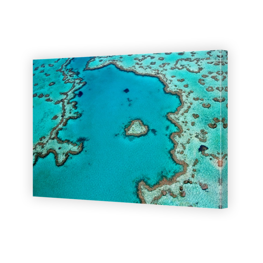Heart Reef
