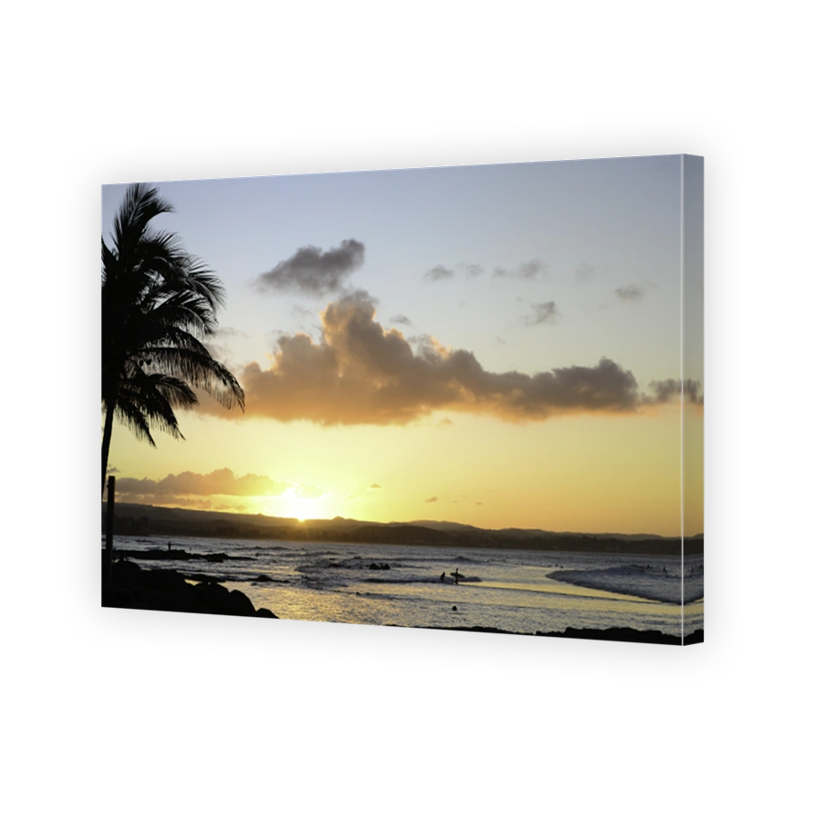 Snapper sunset